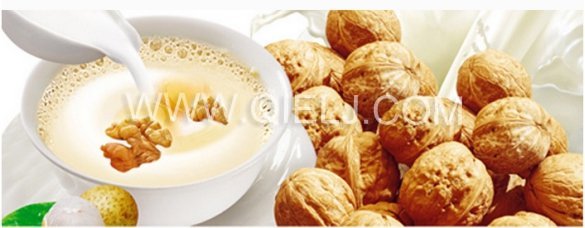 核桃深加工項目-核桃油設備生產(chǎn)商鄭州企鵝糧油(圖8)